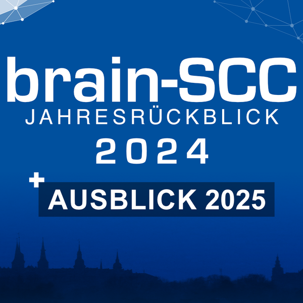 Jahresrückblick 2024 und Ausblick auf 2025